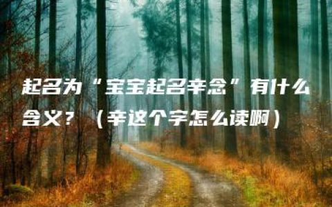 起名为“宝宝起名辛念”有什么含义？（辛这个字怎么读啊）