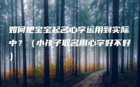 如何把宝宝起名心字运用到实际中？（小孩子取名用心字好不好）