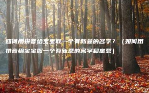 如何用拼音给宝宝取一个有新意的名字？（如何用拼音给宝宝取一个有新意的名字和寓意）