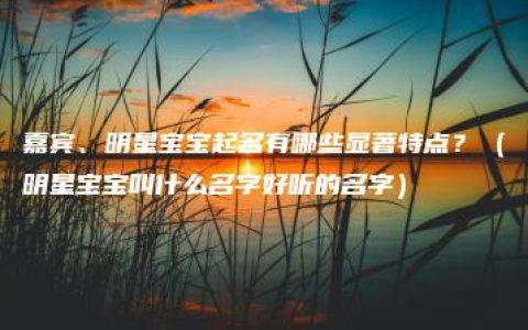 嘉宾、明星宝宝起名有哪些显著特点？（明星宝宝叫什么名字好听的名字）