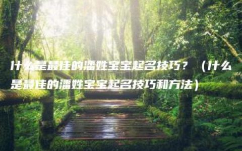 什么是最佳的潘姓宝宝起名技巧？（什么是最佳的潘姓宝宝起名技巧和方法）