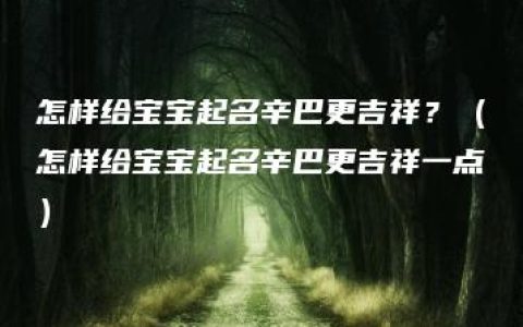 怎样给宝宝起名辛巴更吉祥？（怎样给宝宝起名辛巴更吉祥一点）