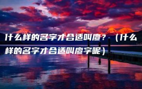 什么样的名字才合适叫廖？（什么样的名字才合适叫廖字呢）