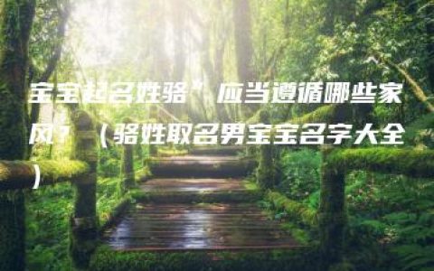 宝宝起名姓骆”应当遵循哪些家风？（骆姓取名男宝宝名字大全）