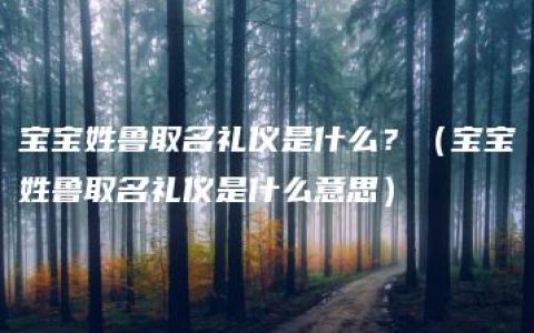 宝宝姓鲁取名礼仪是什么？（宝宝姓鲁取名礼仪是什么意思）