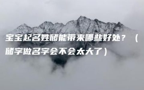 宝宝起名姓储能带来哪些好处？（储字做名字会不会太大了）