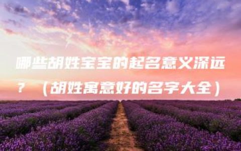 哪些胡姓宝宝的起名意义深远？（胡姓寓意好的名字大全）