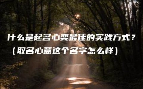 什么是起名心奕最佳的实践方式？（取名心意这个名字怎么样）