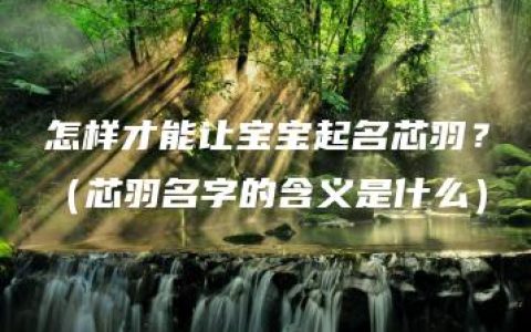 怎样才能让宝宝起名芯羽？（芯羽名字的含义是什么）