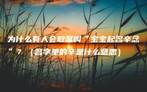 为什么有人会取名叫“宝宝起名辛念”？（名字里的辛是什么意思）