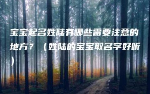 宝宝起名姓陆有哪些需要注意的地方？（姓陆的宝宝取名字好听）