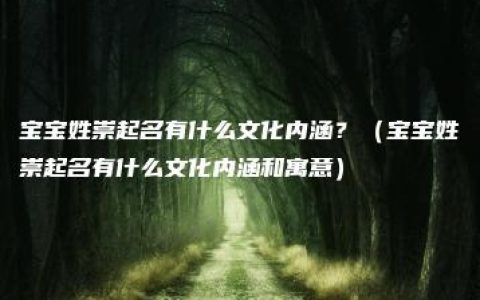 宝宝姓崇起名有什么文化内涵？（宝宝姓崇起名有什么文化内涵和寓意）