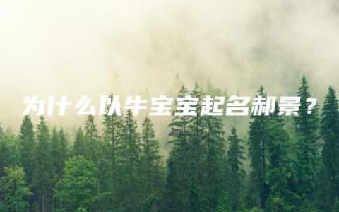 为什么以牛宝宝起名郝景？