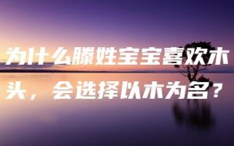 为什么滕姓宝宝喜欢木头，会选择以木为名？