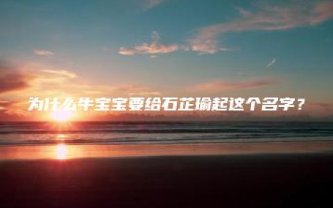 为什么牛宝宝要给石芷瑜起这个名字？