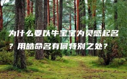 为什么要以牛宝宝为灵感起名？用皓命名有何特别之处？