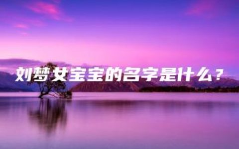 刘梦女宝宝的名字是什么？