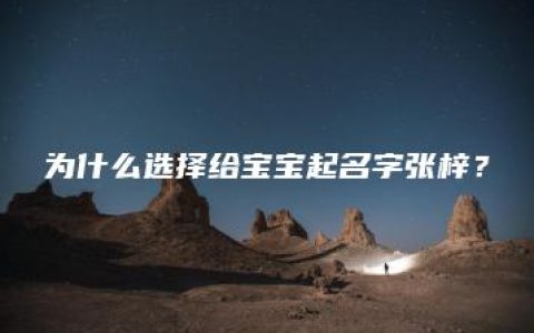 为什么选择给宝宝起名字张梓？