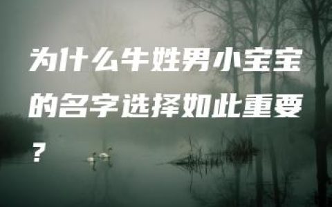 为什么牛姓男小宝宝的名字选择如此重要？