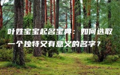 叶姓宝宝起名宝典：如何选取一个独特又有意义的名字？