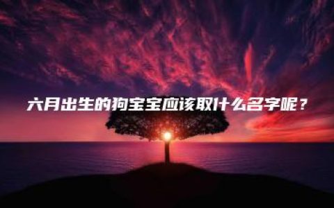 六月出生的狗宝宝应该取什么名字呢？