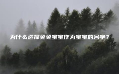 为什么选择兔兔宝宝作为宝宝的名字？