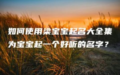 如何使用梁宝宝起名大全集为宝宝起一个好听的名字？