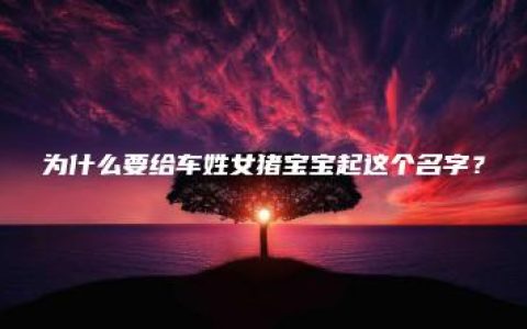 为什么要给车姓女猪宝宝起这个名字？