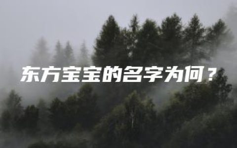 东方宝宝的名字为何？