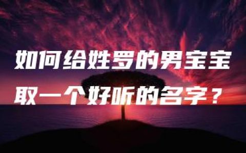 如何给姓罗的男宝宝取一个好听的名字？