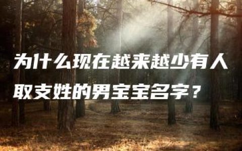 为什么现在越来越少有人取支姓的男宝宝名字？