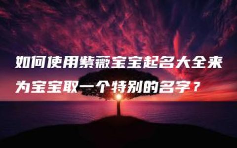 如何使用紫薇宝宝起名大全来为宝宝取一个特别的名字？