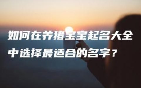 如何在养猪宝宝起名大全中选择最适合的名字？