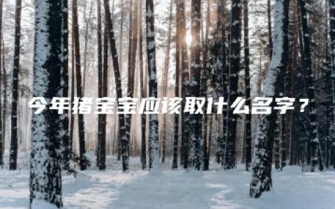 今年猪宝宝应该取什么名字？