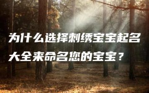 为什么选择刺绣宝宝起名大全来命名您的宝宝？