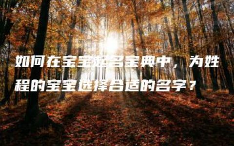 如何在宝宝起名宝典中，为姓程的宝宝选择合适的名字？