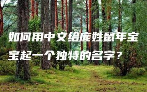 如何用中文给庞姓鼠年宝宝起一个独特的名字？