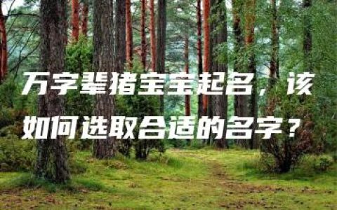 万字辈猪宝宝起名，该如何选取合适的名字？