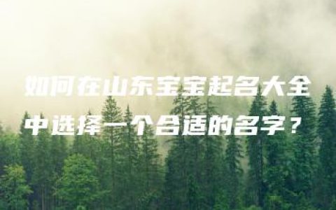 如何在山东宝宝起名大全中选择一个合适的名字？