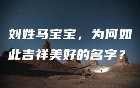 刘姓马宝宝，为何如此吉祥美好的名字？