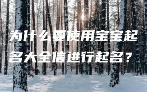 为什么要使用宝宝起名大全信进行起名？