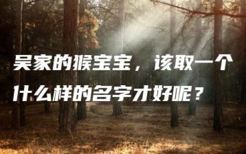 吴家的猴宝宝，该取一个什么样的名字才好呢？