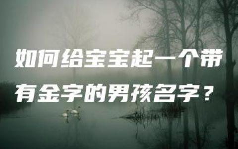 如何给宝宝起一个带有金字的男孩名字？