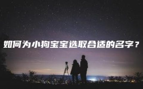 如何为小狗宝宝选取合适的名字？