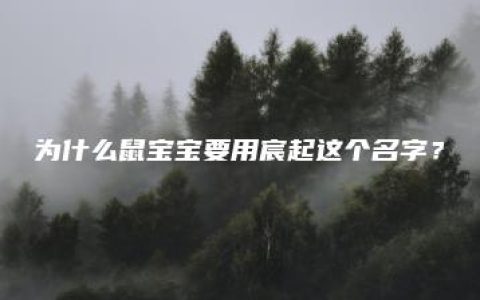 为什么鼠宝宝要用宸起这个名字？