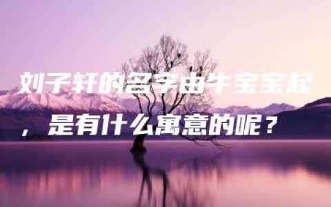 刘子轩的名字由牛宝宝起，是有什么寓意的呢？