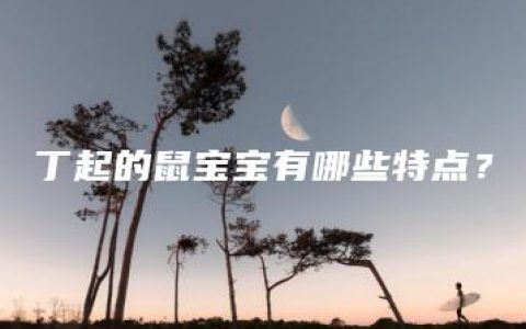 丁起的鼠宝宝有哪些特点？