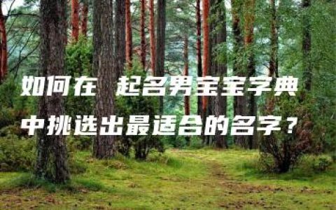 如何在 起名男宝宝字典 中挑选出最适合的名字？