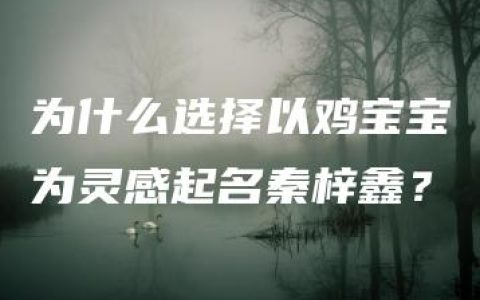 为什么选择以鸡宝宝为灵感起名秦梓鑫？