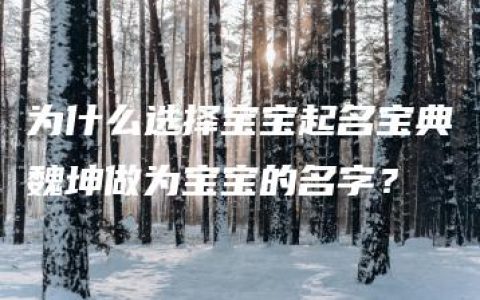 为什么选择宝宝起名宝典魏坤做为宝宝的名字？